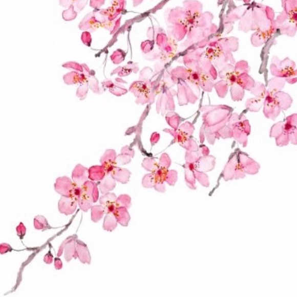 sophia_design